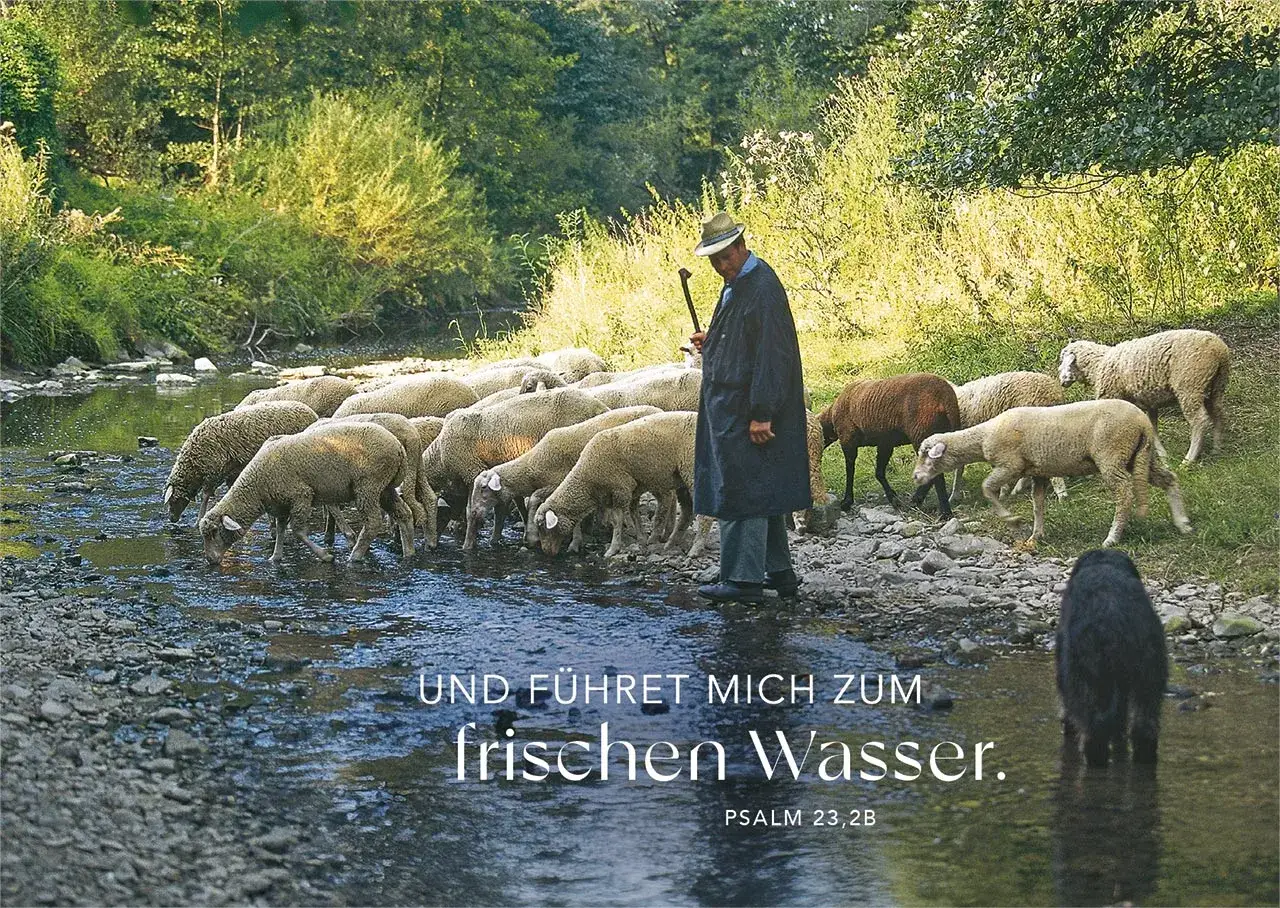 Ein Hirte führt seine Schafe zum frischen Wasser, wie in Psalm 23 beschrieben.