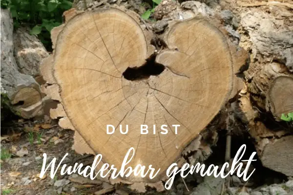 Herzförmiger Baumstamm mit Jahresringen, der an Psalm 139,14 erinnert: "Ich danke dir dafür, dass ich auf wunderbare Weise gemacht bin.